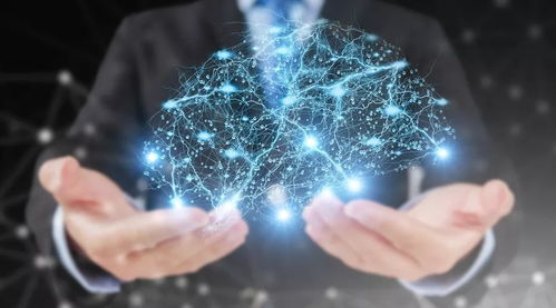 Arm中國人工智能業(yè)務(wù)總部落戶青浦 驅(qū)動計(jì)算機(jī)信息科技技術(shù)開發(fā)新浪潮