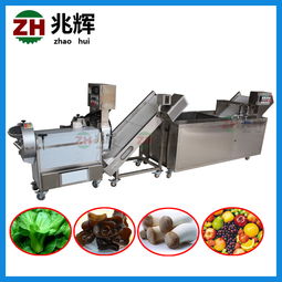 切肉機直銷 專業(yè)的果蔬清洗機推薦