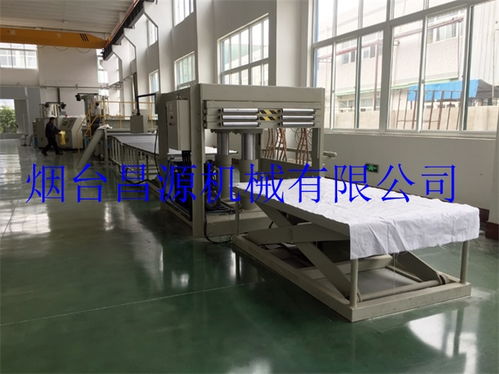 唐山pe塑料板材生產(chǎn)線廠家直銷誠信企業(yè)推薦 煙臺昌源機械